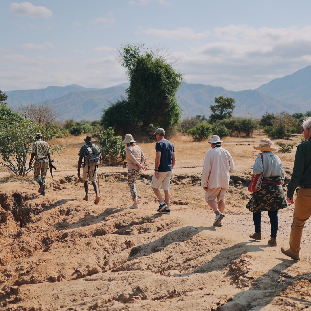 SaveClip.App_396977501_718849016956306_2457395576831289743_n