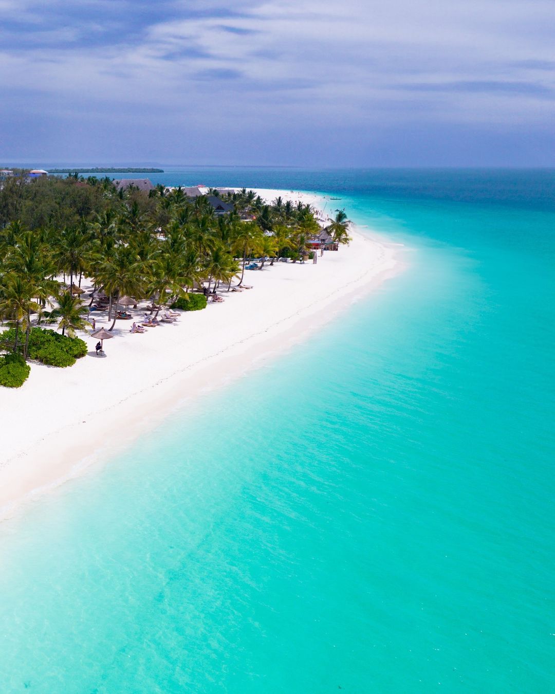 SaveClip.App_459285573_638528561832652_3726366253344522493_n