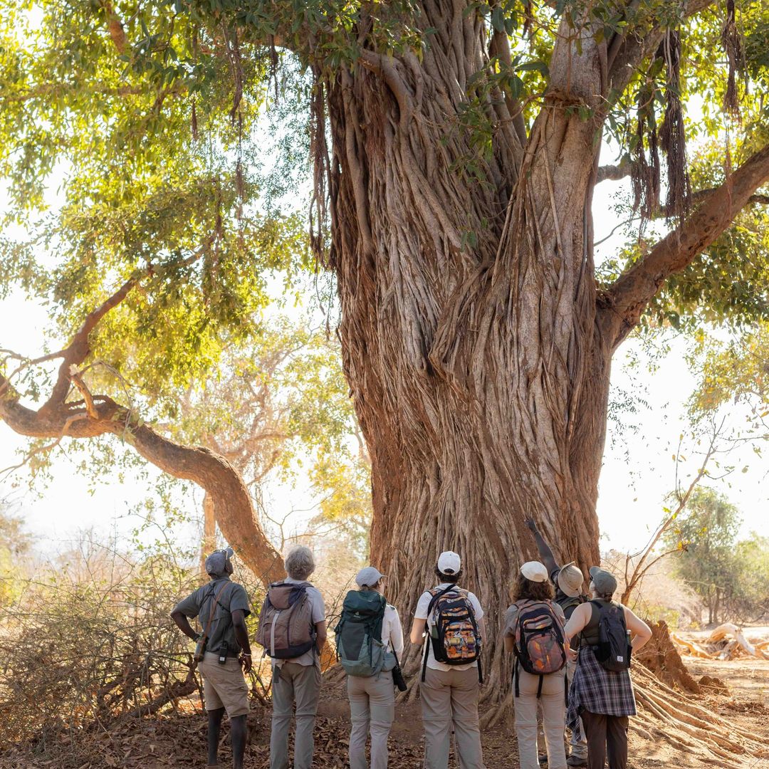 SaveClip.App_464490673_943543997820139_7030781166116323812_n_1080