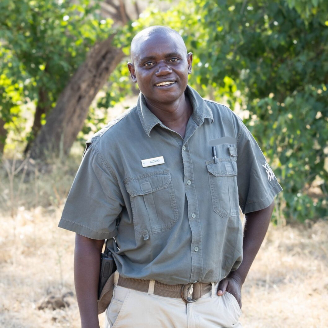 Untitled design 2024 11 25T155314.023