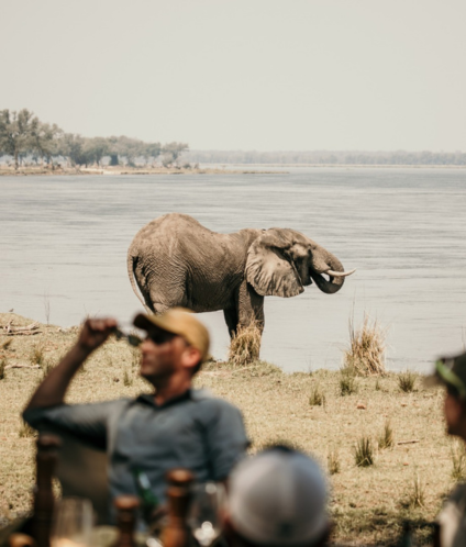 Untitled design 2024 11 27T101440.129