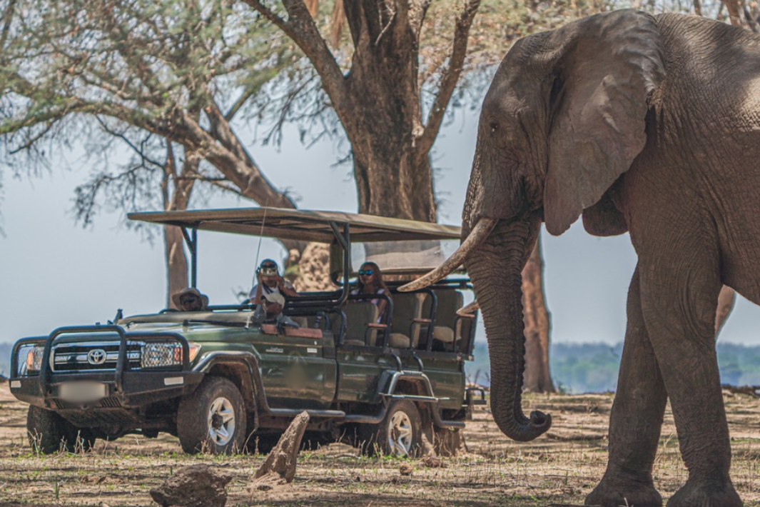 Untitled design 2024 11 28T135139.862